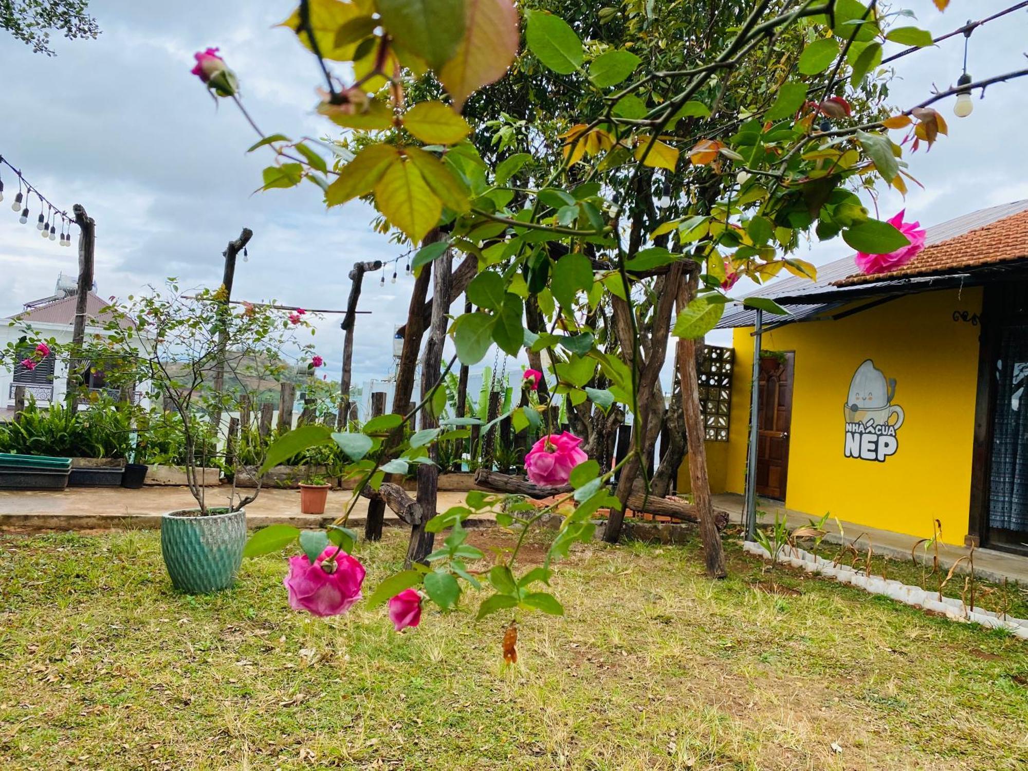 Villa Nha Cua Nep Plei Brel Exterior foto